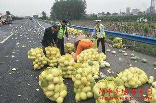 祁县吃瓜群众案件,网络谣言引发的司法风波