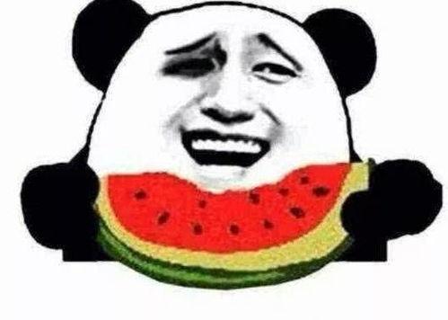 吃瓜群众哈哈哥搞笑视频,笑料百出，欢乐无限