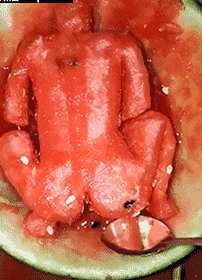 吃瓜群众gif图片,揭秘网络热议背后的真实心态