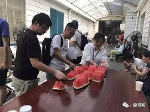 西瓜吃瓜群众图片高清,西瓜盛宴中的欢乐瞬间