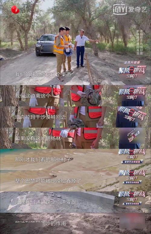 吃瓜群众兵分三路,揭秘娱乐圈风云变幻