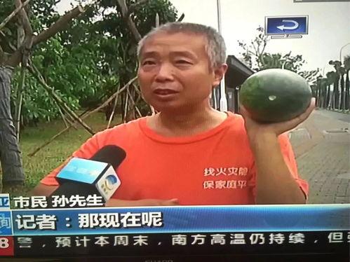 扬州吃瓜群众事件,一场网络舆论的风波与反思