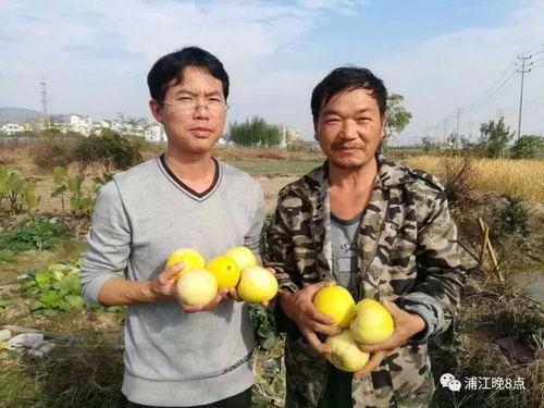 吃瓜群众抚顺,揭秘城市生活百态