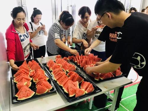 吃瓜群众抚顺,揭秘城市生活百态