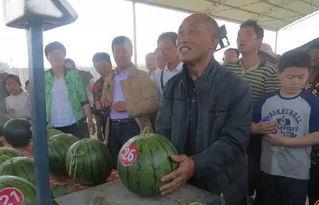 室内拓展游戏吃瓜群众,吃瓜群众的欢乐盛宴