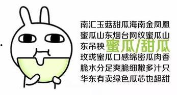 吃瓜群众你咋看呢,吃瓜群众视角下的社会现象解读